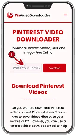 Paste-the-URL-of-the-video-you-have-copied-from-Pinterest