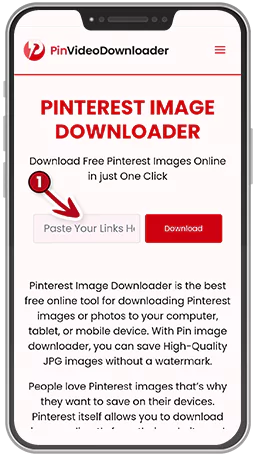 Paste-the-copied-link-to-Pinterest-image-downloader